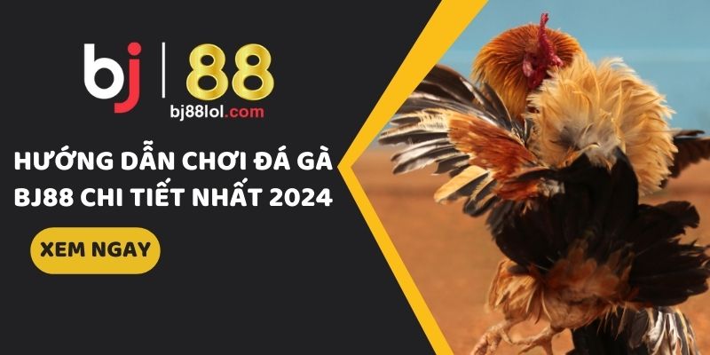 hướng dẫn chơi đá gà
