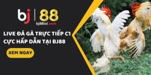 đá gà trực tiếp c1