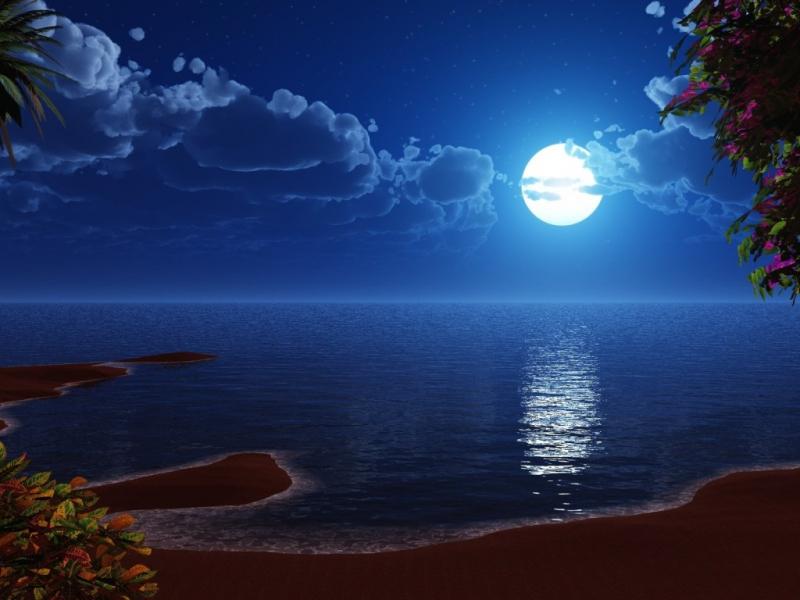 Mãi mãi ngày đầu tiên