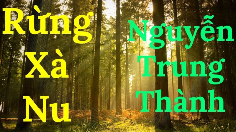 Bài văn phân tích tác phẩm 