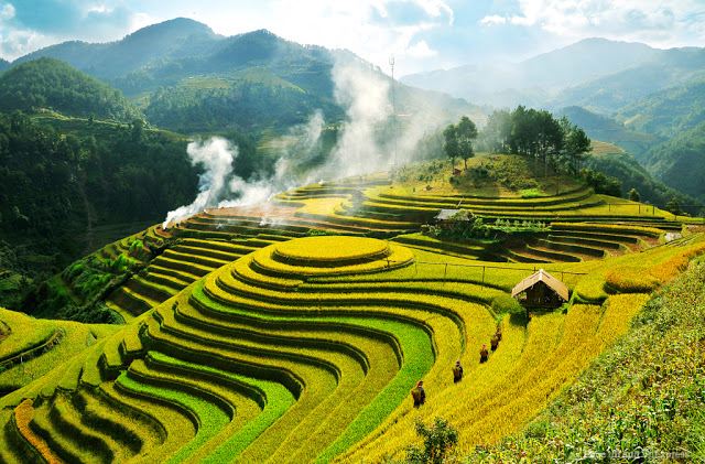 Bài tham khảo số 7