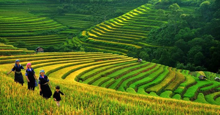 Bài tham khảo số 3