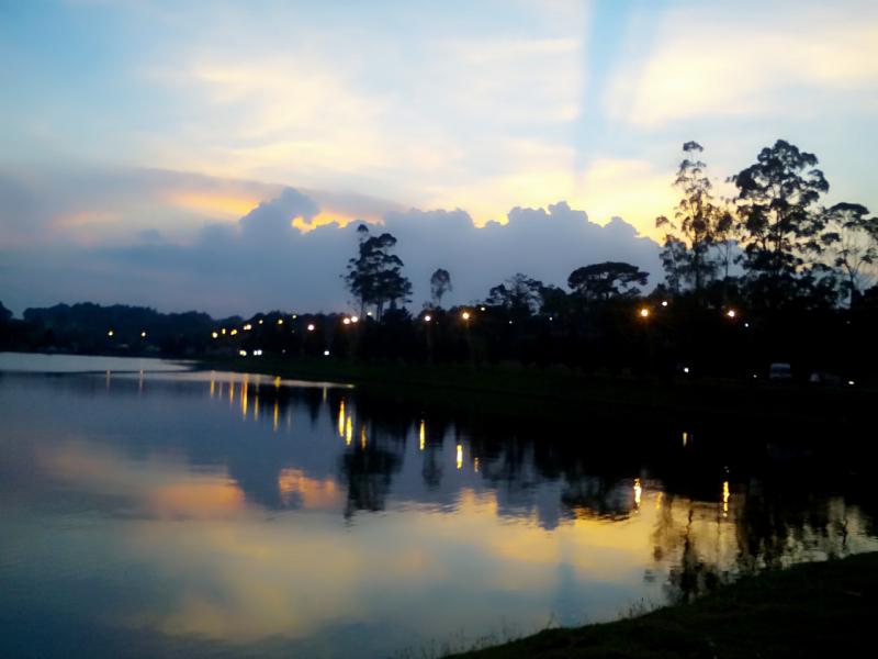 Thức giấc