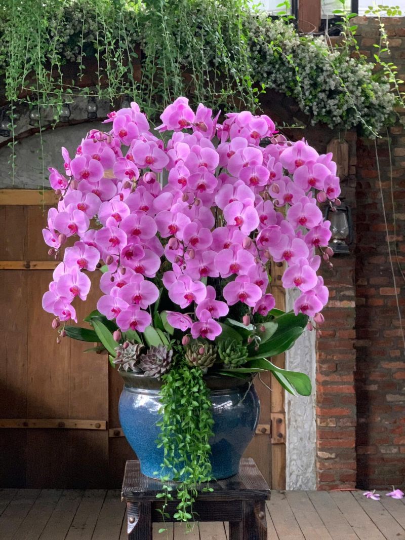 Bao Anh Flowers & Fruits