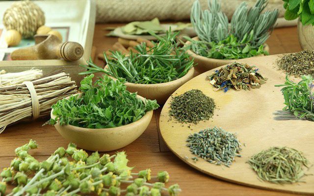 Thảo mộc và rau gia vị