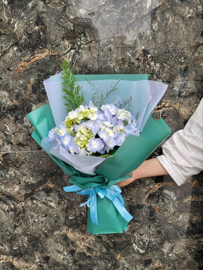 Cẩm tú cầu