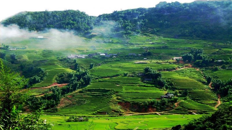 Bản Mòng