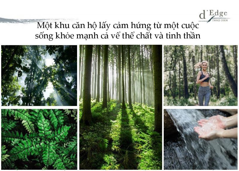 Dự án D’Edge Thảo Điền