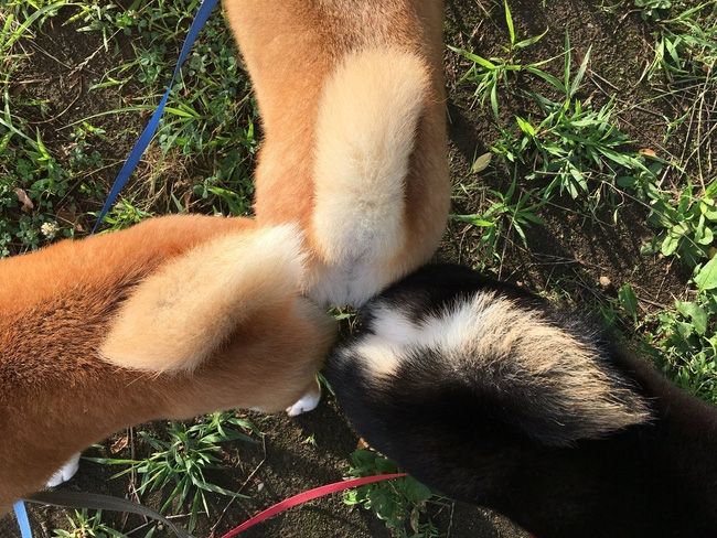 Ai thấy mặt mũi tụi nó đâu hôn