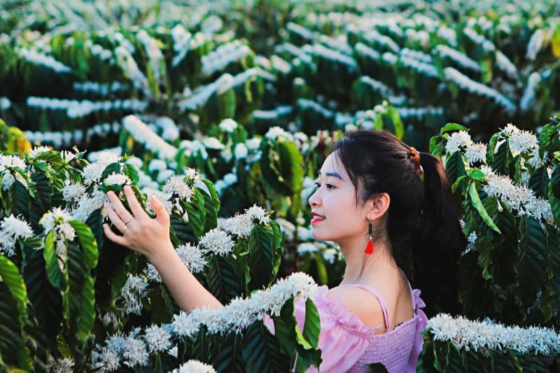 Trích dẫn hay nhất số 4