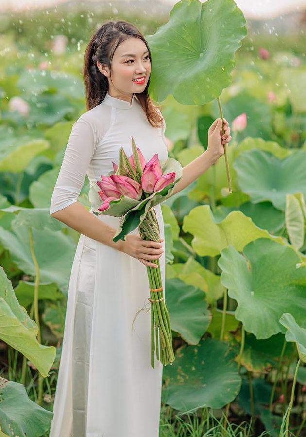 Hoa sen mộng mơ