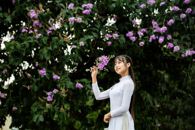 Hình minh hoạ
