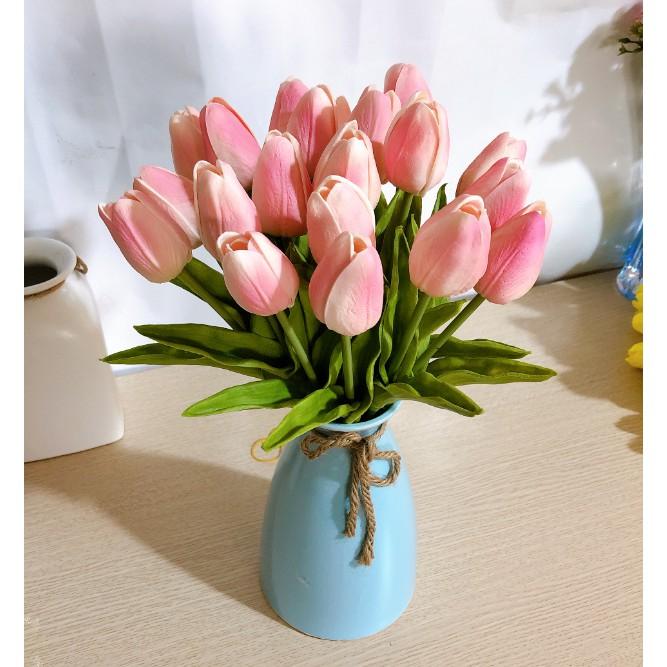 Hoa tulip