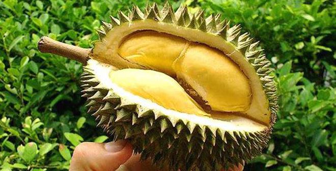 Mê quả sầu riêng