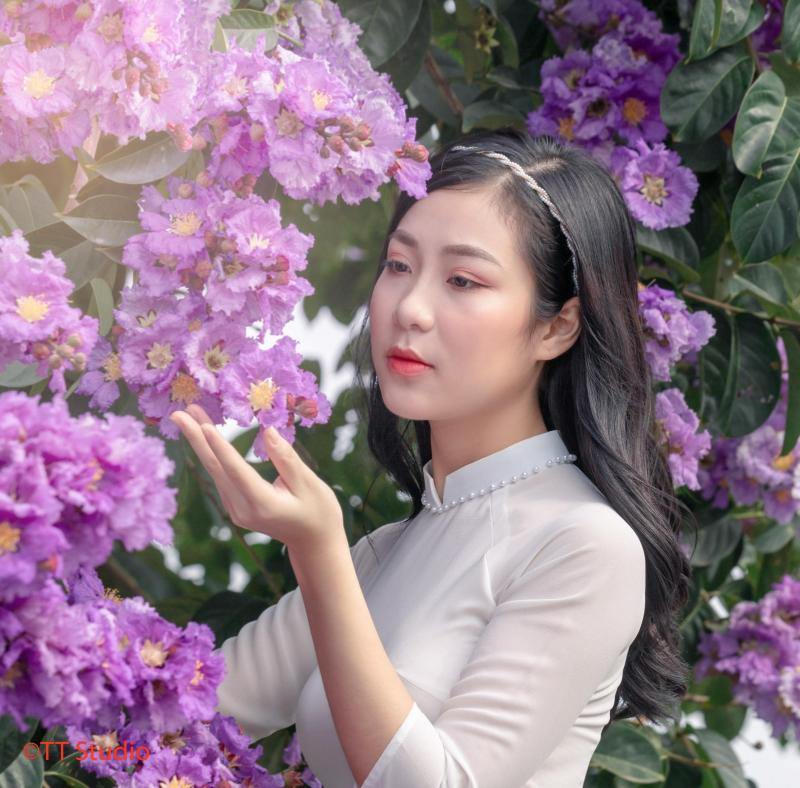 Hình minh hoạ