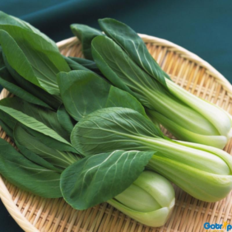Rau cải thìa (cải chíp)