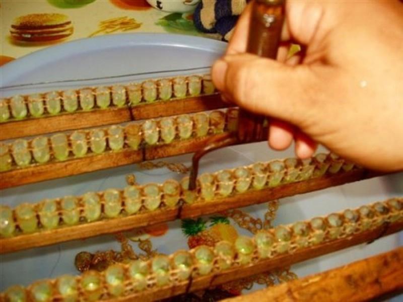 Dùng máy chuyên dụng hút sữa ong chúa