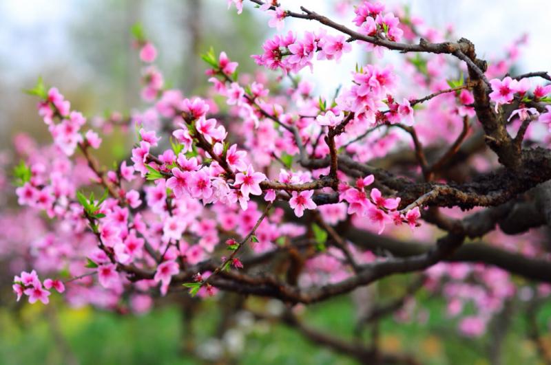 Người quan tâm bạn luôn ở ngay cạnh bạn