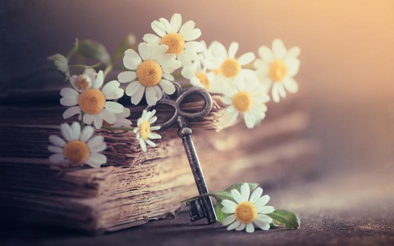 Tháng mười hai, đong đầy nỗi nhớ