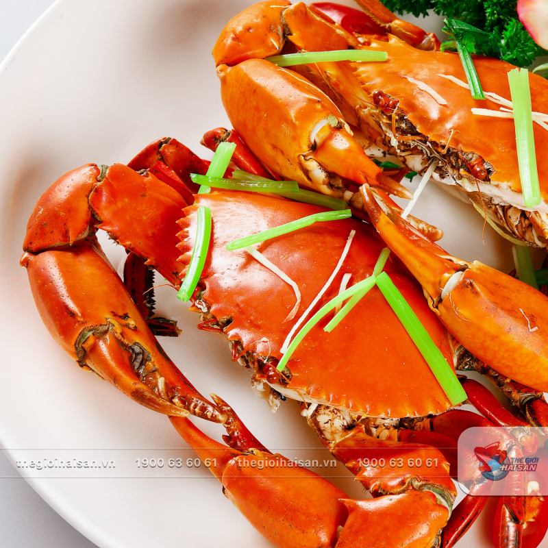 Thế Giới Hải Sản