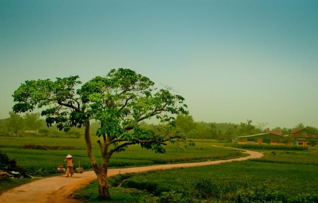 Nhớ quê